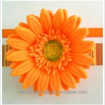 Gerbera Flower Tutorial created by 